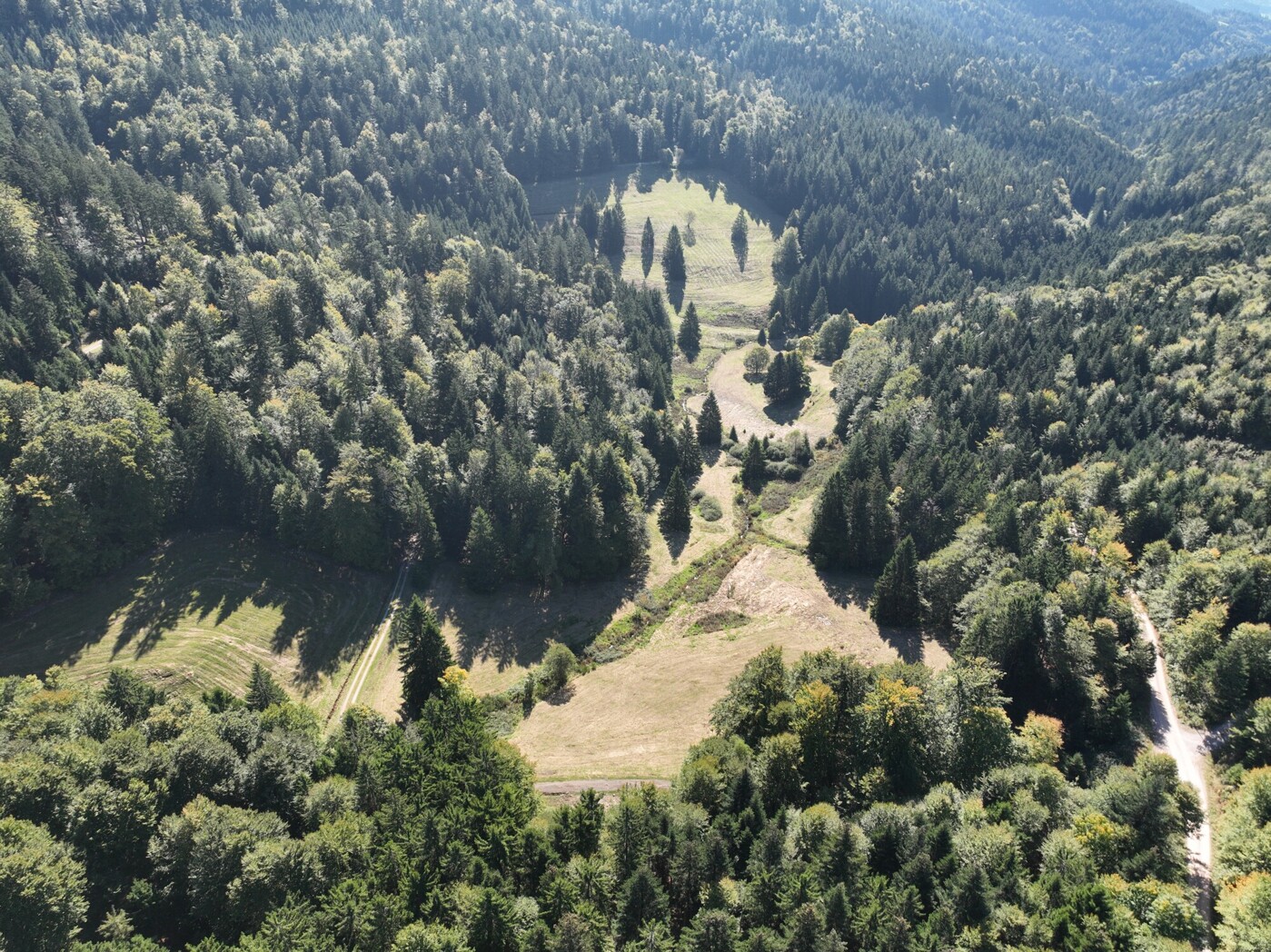 Blick Richtung Osten