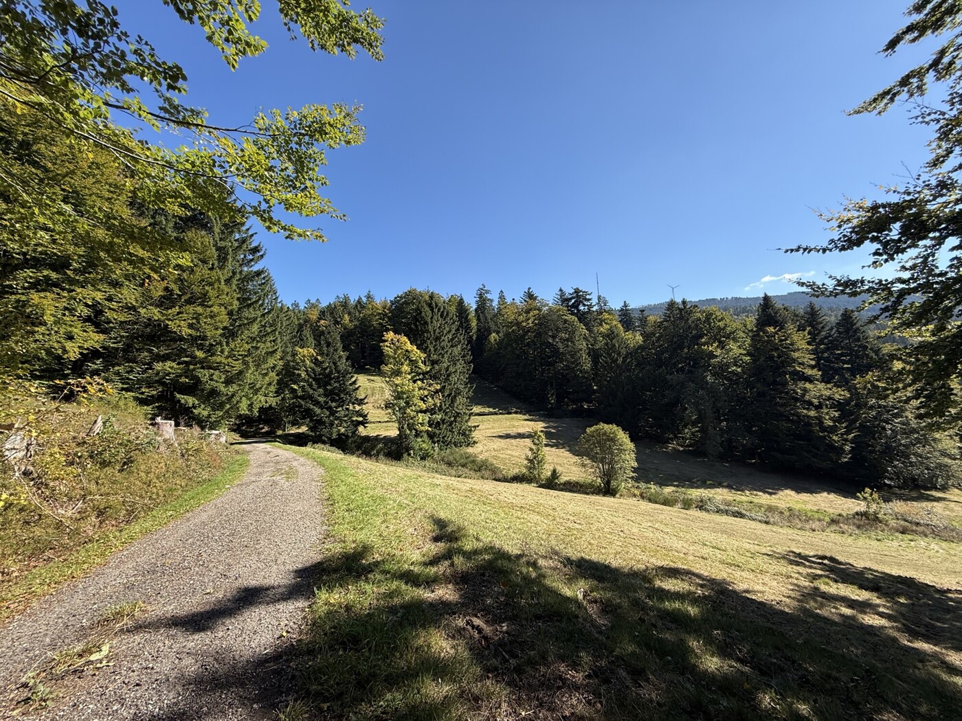 Blick vom Wirtschaftweg