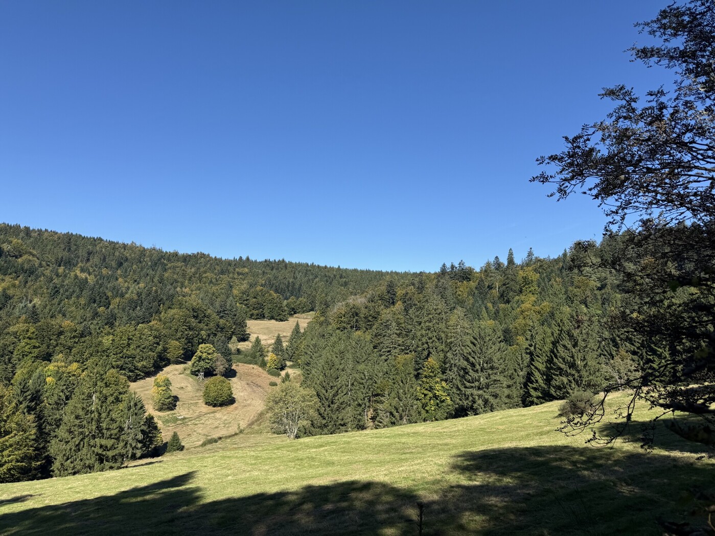 Blick über das Plateau