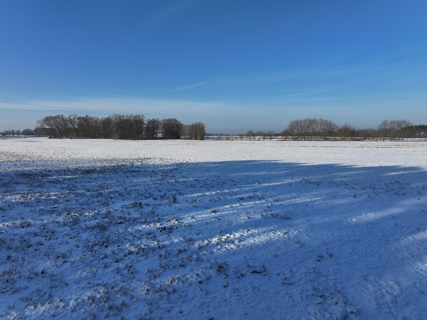 Blick über das Grünland