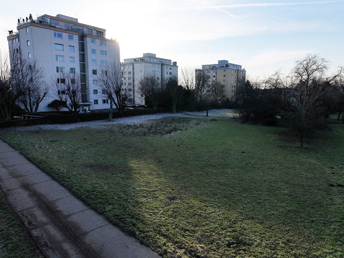 Blick über die Wiese