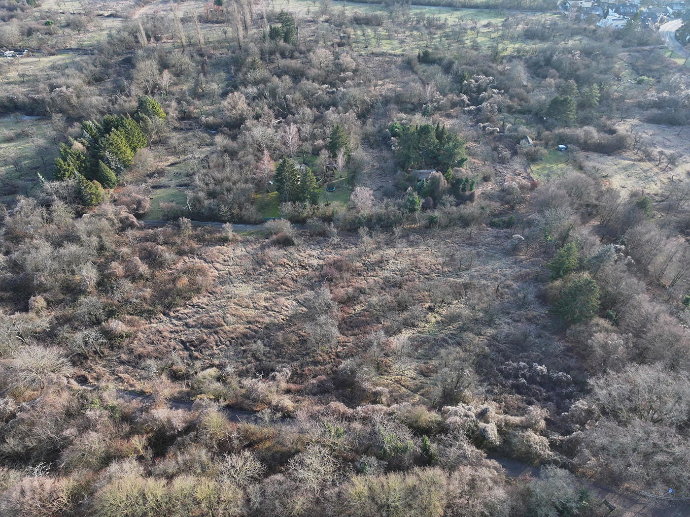 Blick auf das Flurstück Richtung Osten