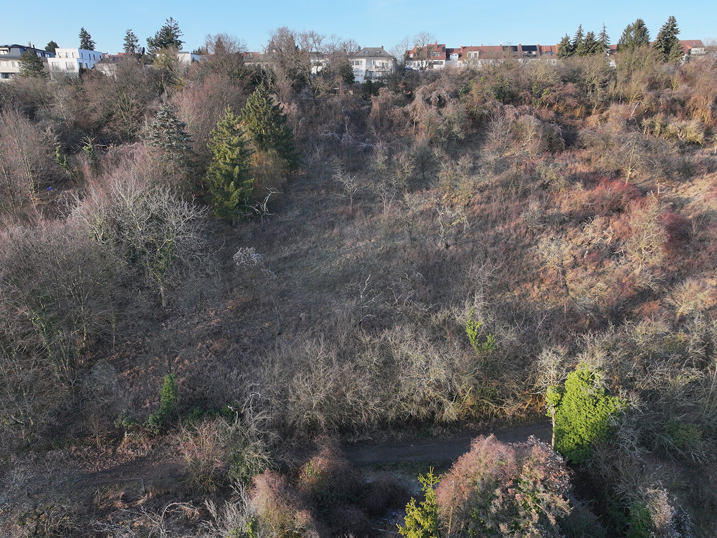 Blick auf das Flurstück Richtung Norden
