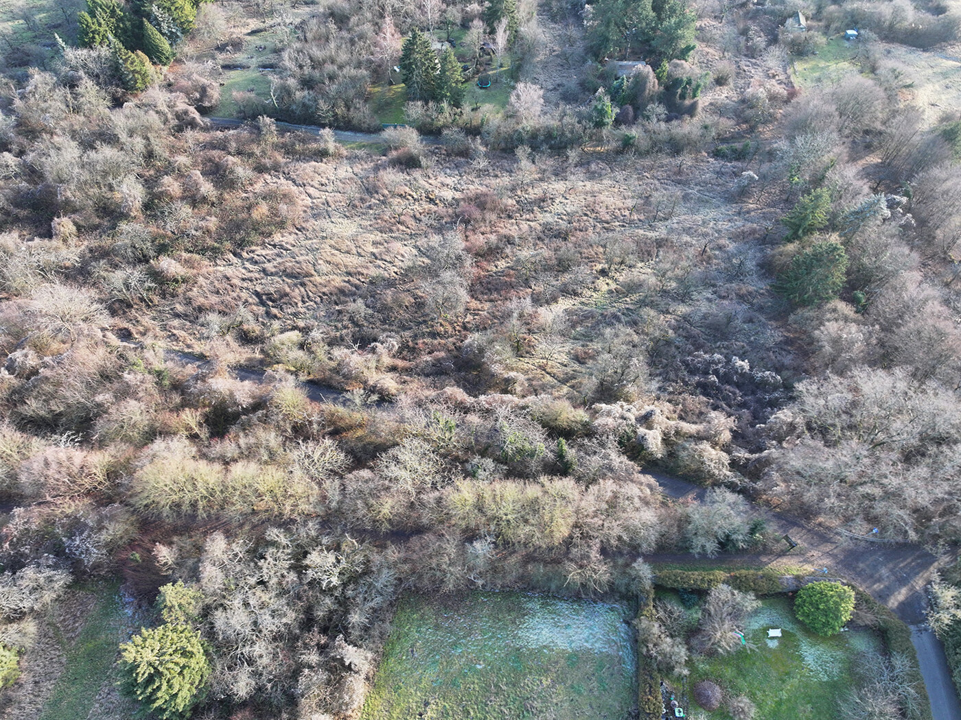 Blick auf das Flurstück Richtung Süden