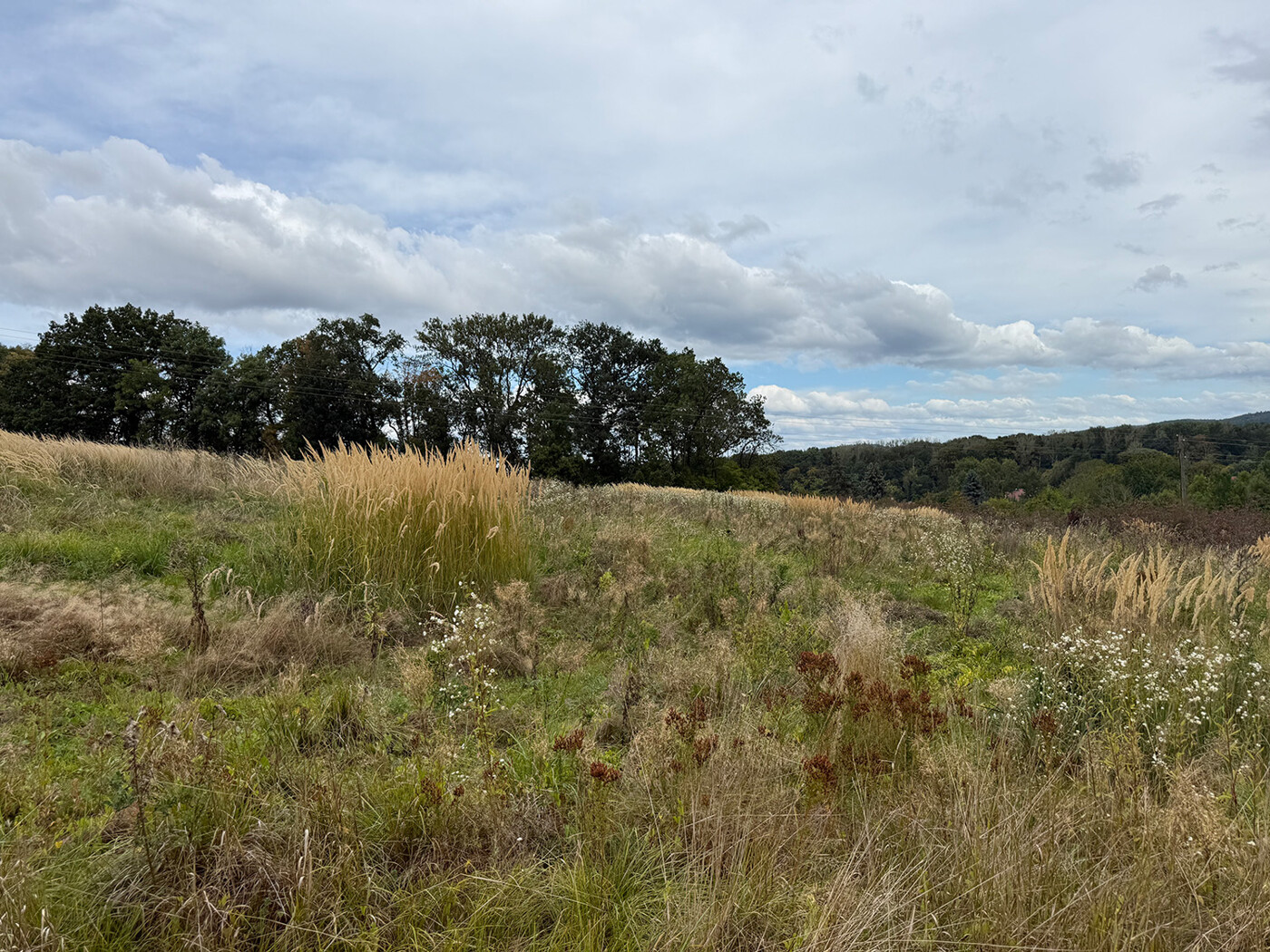 Blick über den Acker