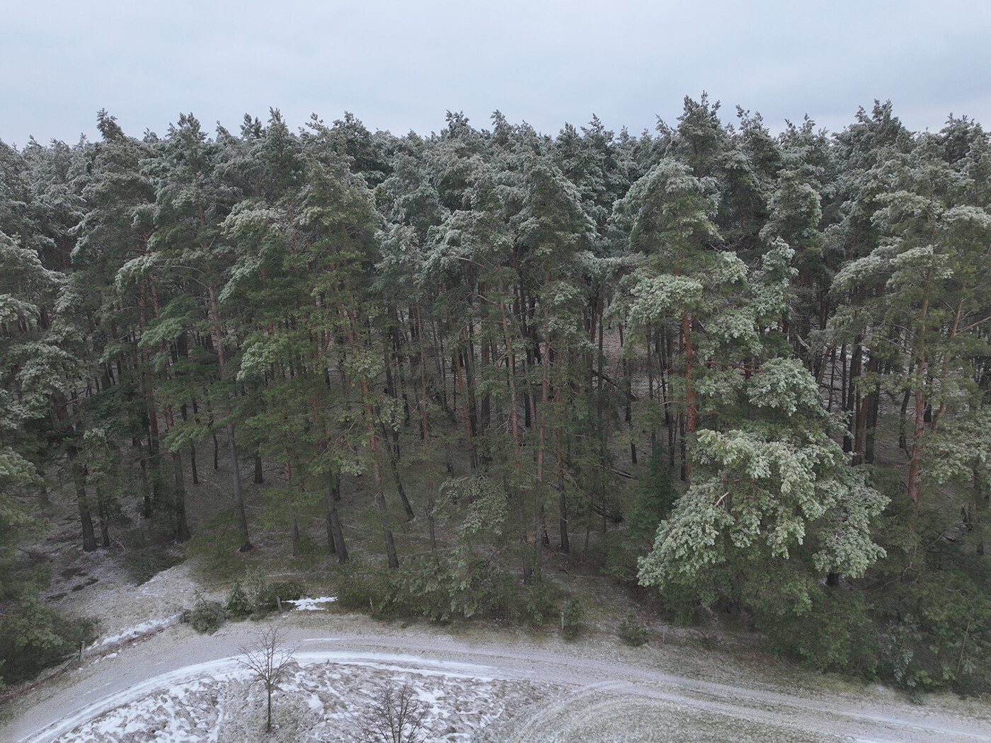 Blick auf den Anfang vom Flurstück