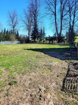 Blick zur ruhigen Straße