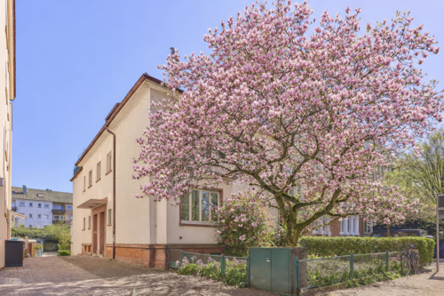 Vorgarten 