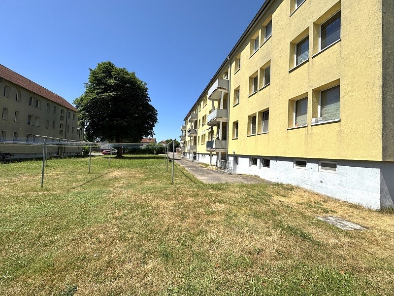 Rückseite