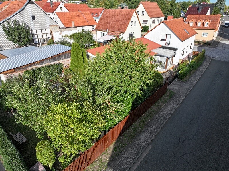 Garten (2)