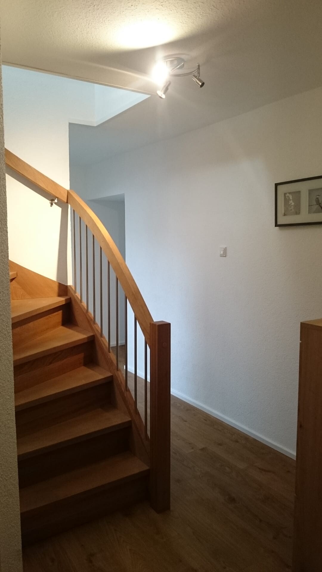 Wohnungen Berglicht