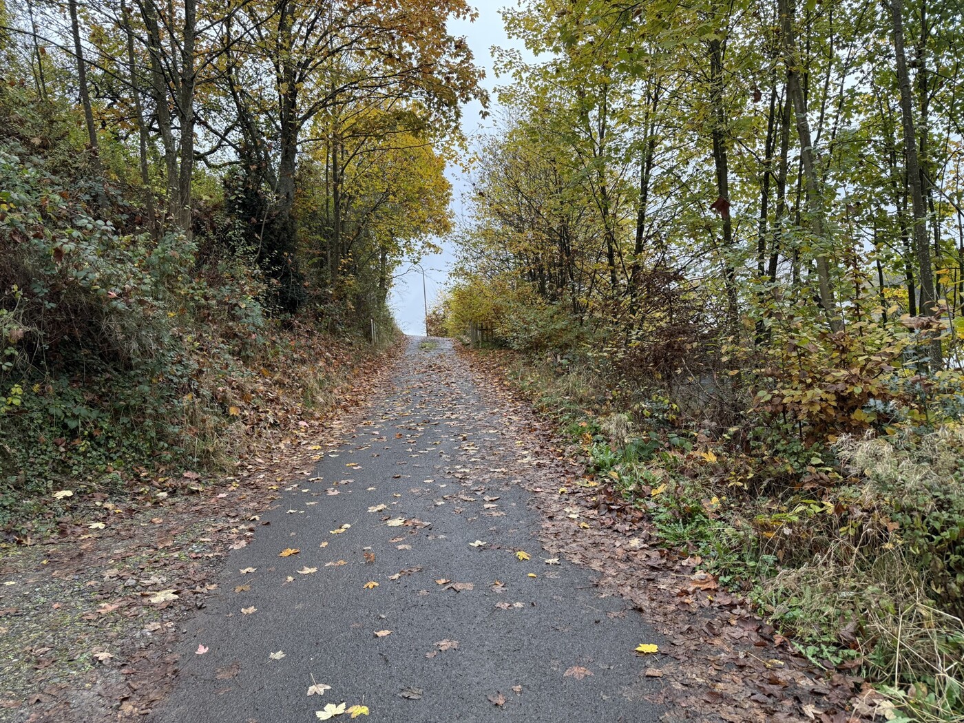 Wohnungen Berglicht