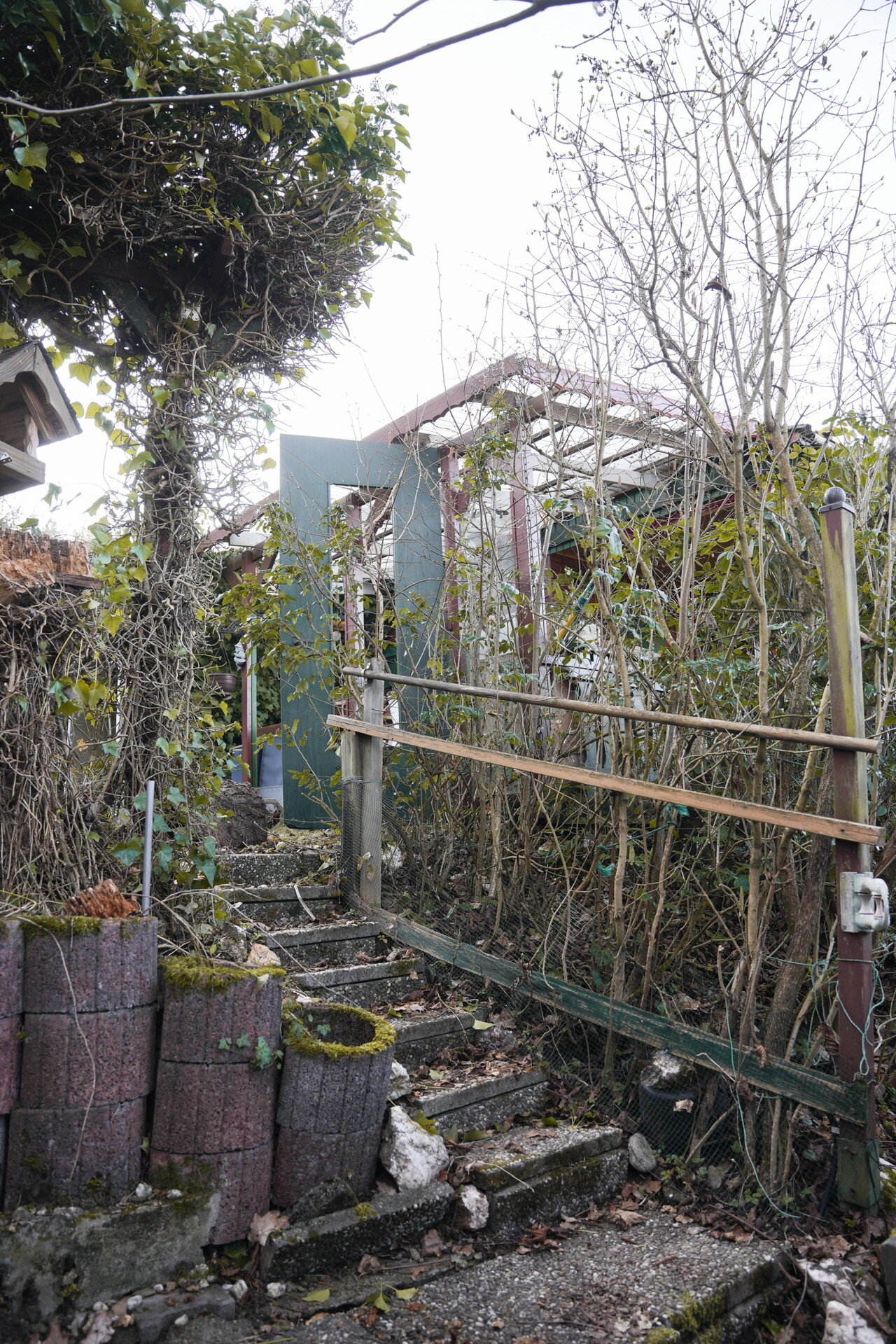 Außen / Garten