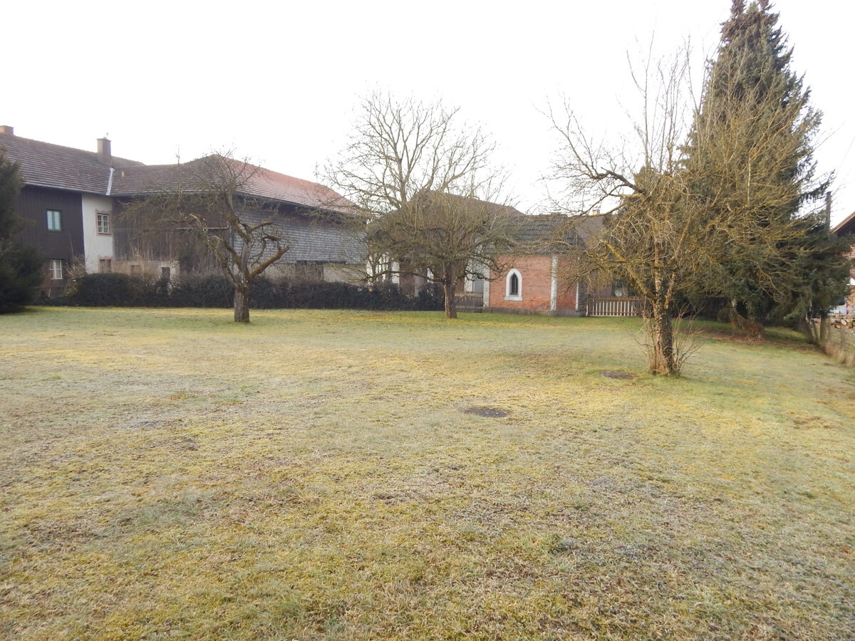 DSCN7098