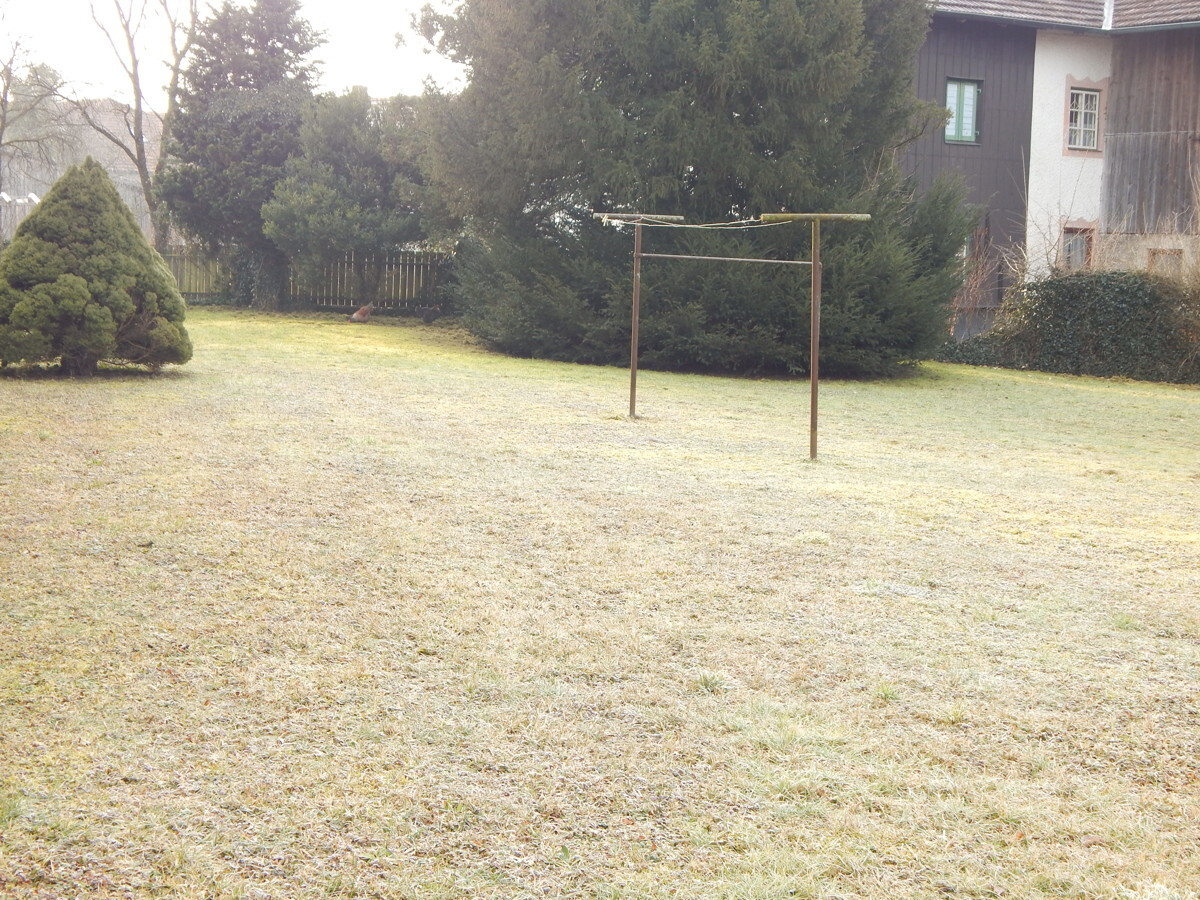 DSCN7105