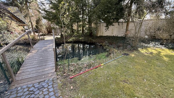Teich