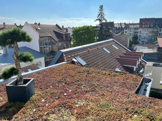 Immobilienobjektbild klein