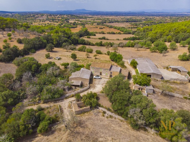 finca 2 - DJI_0289