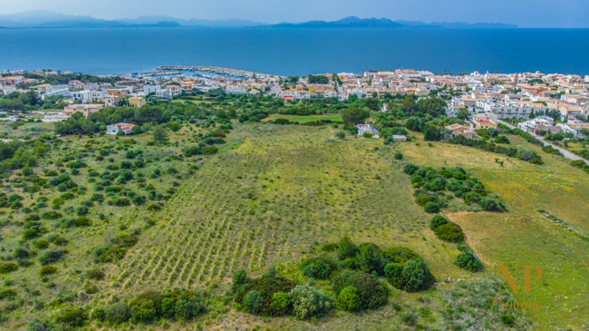 MG REF.37488. COLONIA SANT PERE - DJI_0141