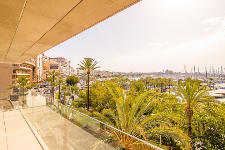 Apartamento-Paseomarítimo-Palma-Piso de arriba-7