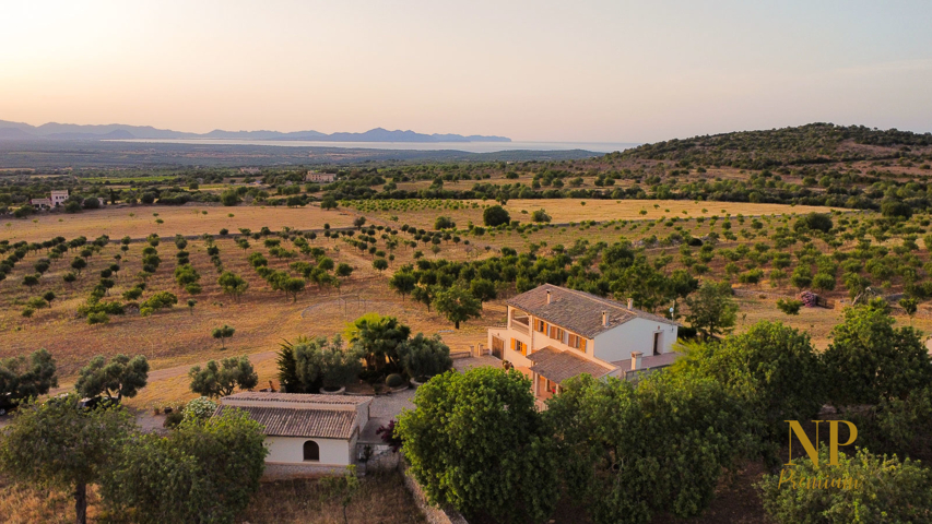 Finca-Vistasmar-Manacor-NE1889-3