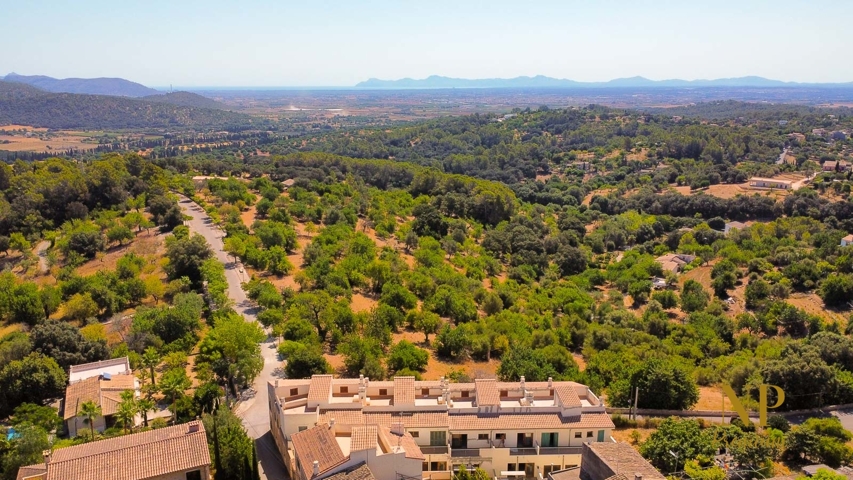 Dúplex-Drone-Campanet-9