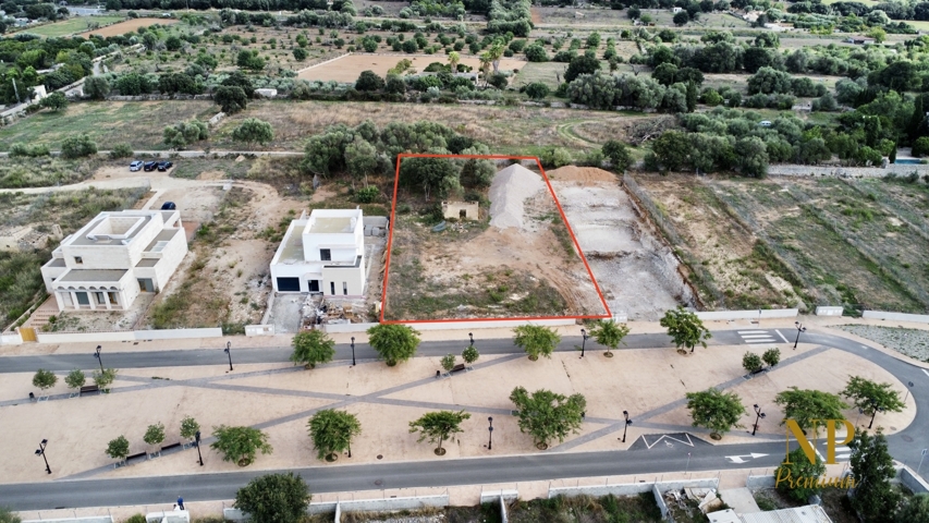 dji_fly_20220927_160054_949_1664287261279_photo_optimized copia