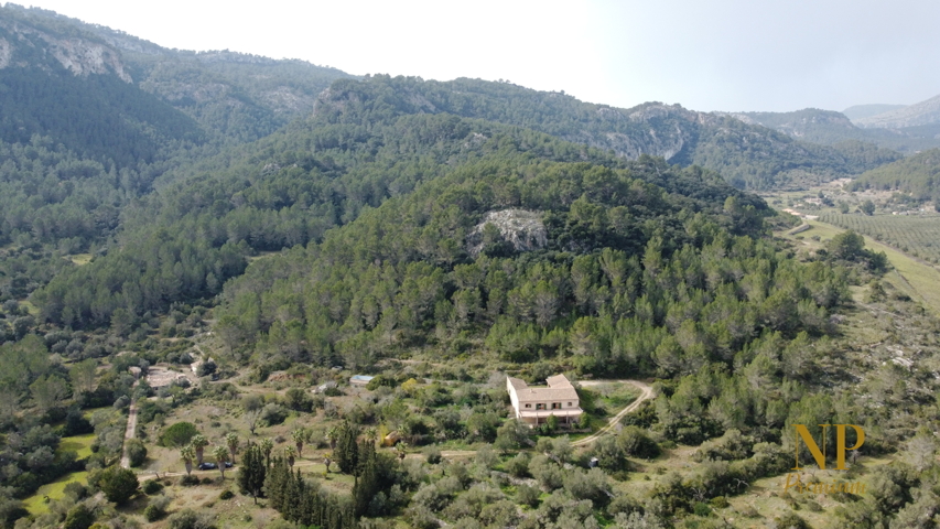 DJI_0466