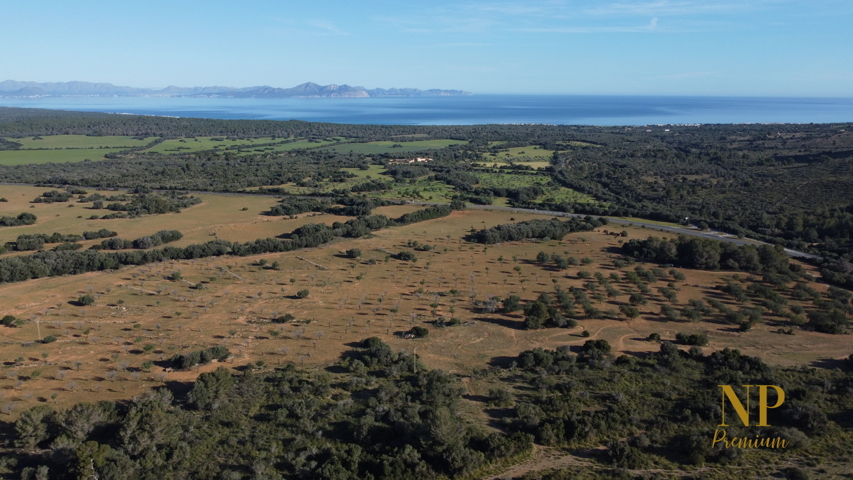 DJI_0217