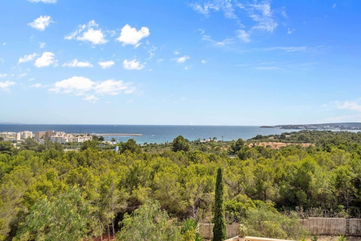 immobilien-calvia-villa-meerblick-LF0582-13