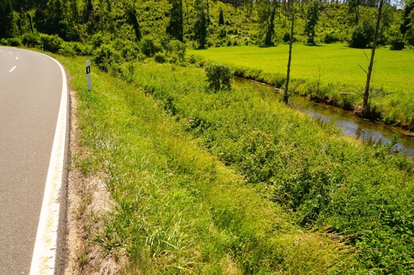 Wiese bei Draisendorf