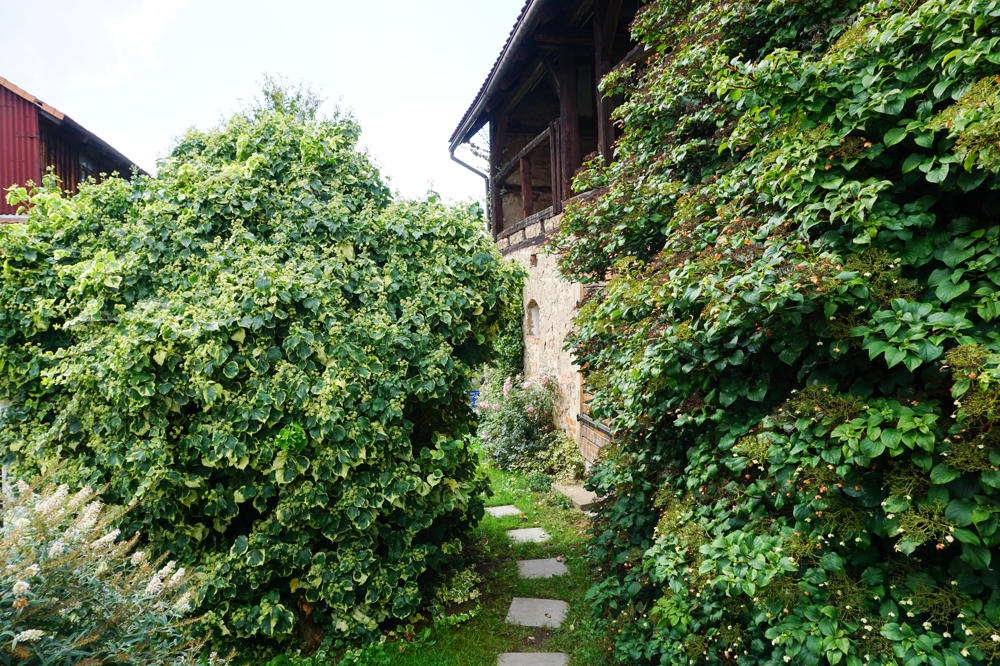 Nebengebäude/Garten