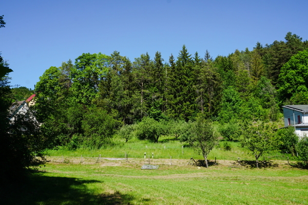 Draisendorfer Straße