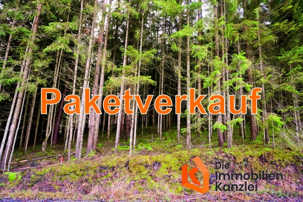 Titelbild_klein