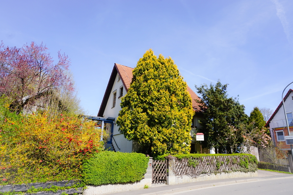 Ansicht
