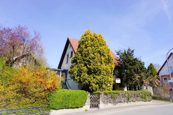 Ansicht