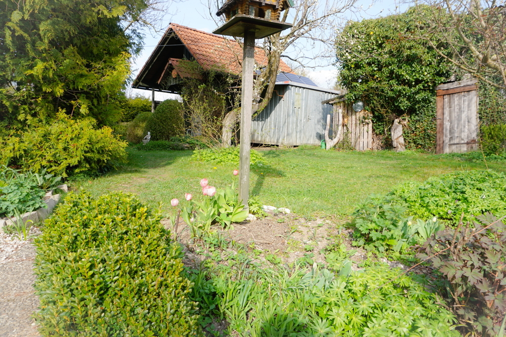 Garten/Gartenhäuschen