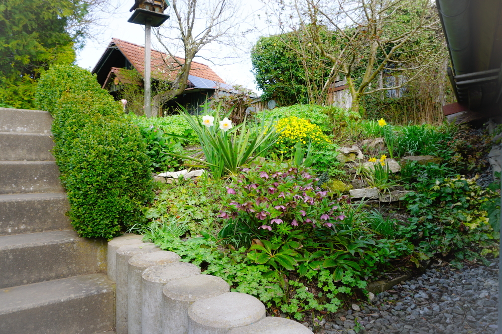 Treppenaufgang zum Garten