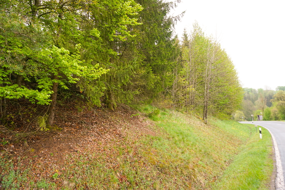 Flurstück 585