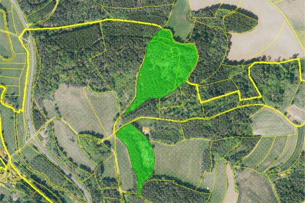Waldflächen bei Aufseß