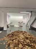 Ausstellungsraum (1)