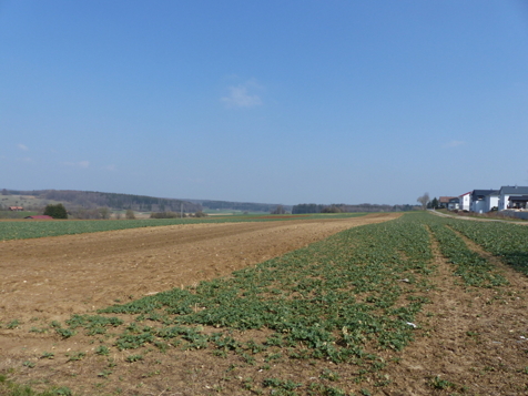 Natur