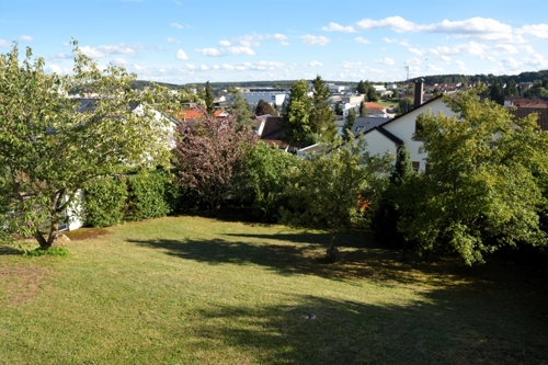 Blick in den Garten