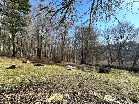 Aussicht Süden