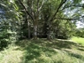 Eingang Wald 