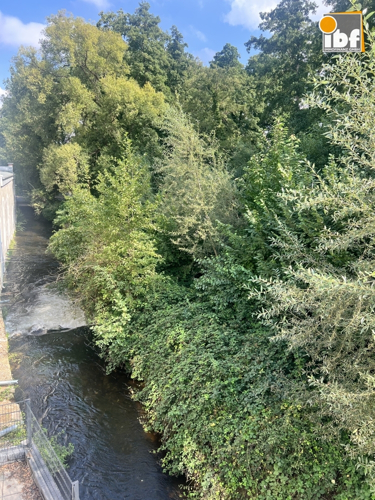 d89f24cb-ddc0-4cf6-bb20-5e059138a211