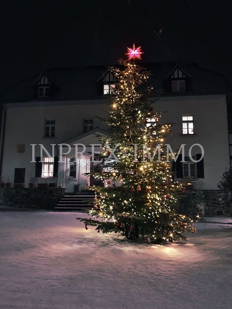 2229 Weihnachtsbaum