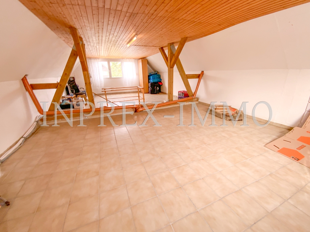 1029 Dach Nutzflaeche INPREX-IMMO
