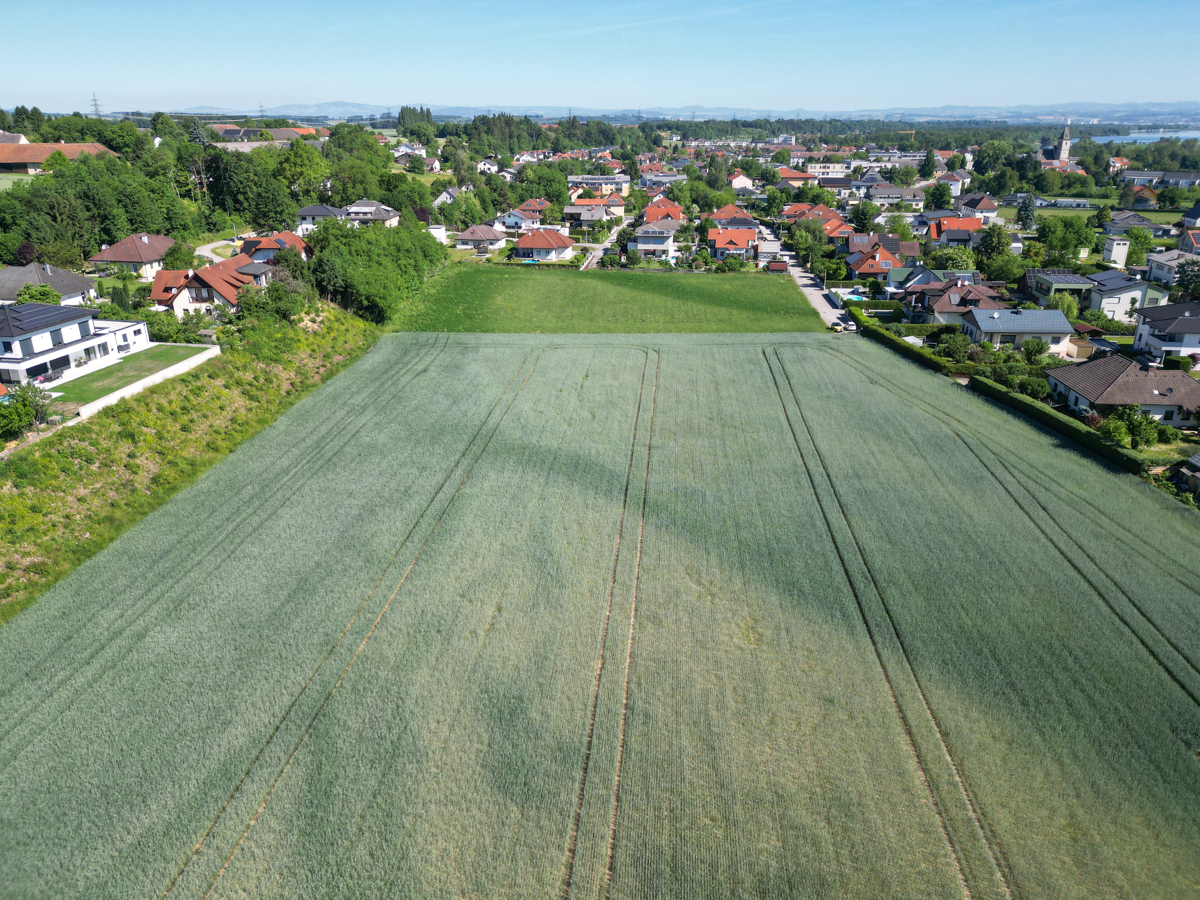 MEIN.GRUND - 517 m² Baugrund für Ihr Zuhause im Süden von Kronstorf – Grundstück für Wohnbebauung in Kronstorf