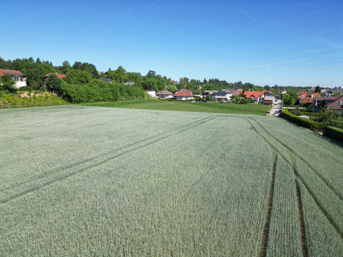 MEIN.GRUND - 517 m² Baugrund für Ihr Zuhause im Süden von Kronstorf – Grundstück für Wohnbebauung in Kronstorf